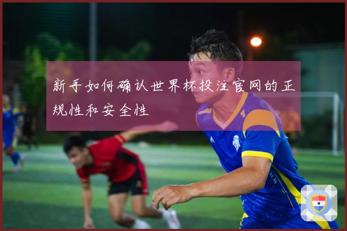 新手如何确认世界杯投注官网的正规性和安全性