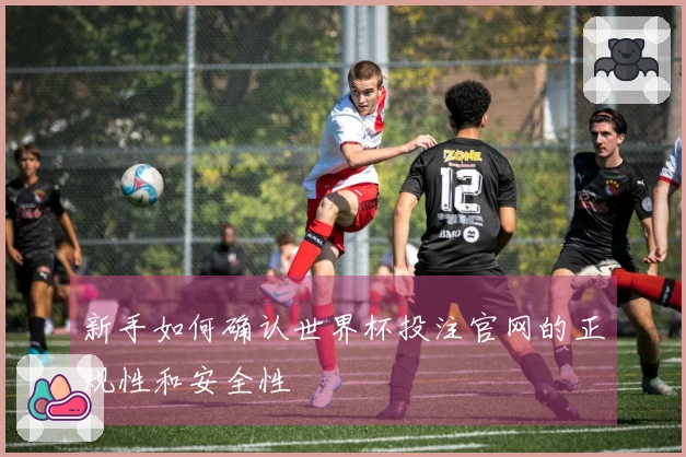 新手如何确认世界杯投注官网的正规性和安全性