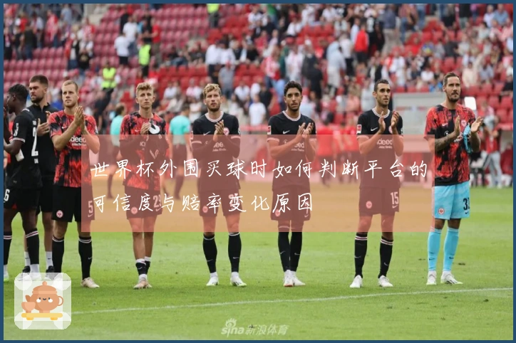 世界杯外围买球时如何判断平台的可信度与赔率变化原因